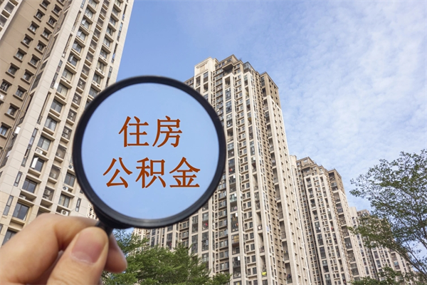 嘉善怎么取住房住房公积金（取住房公积金方法）